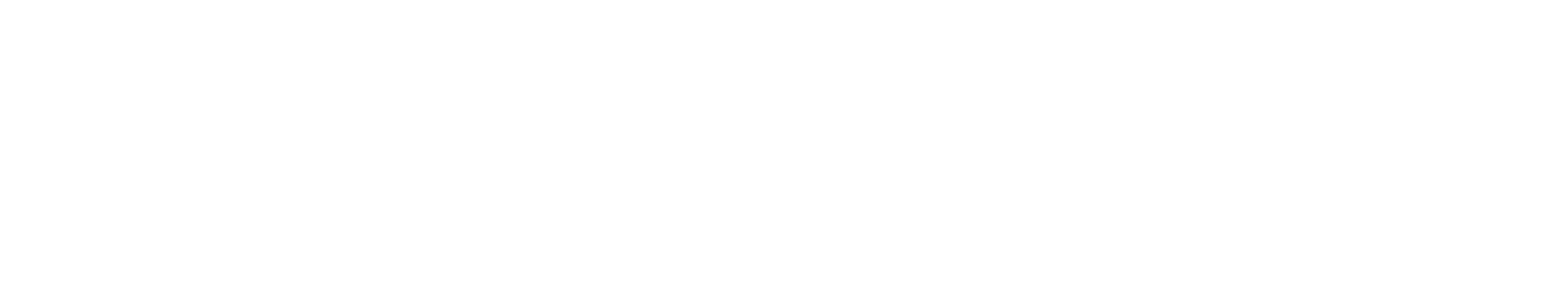 VozyMe Type Logo